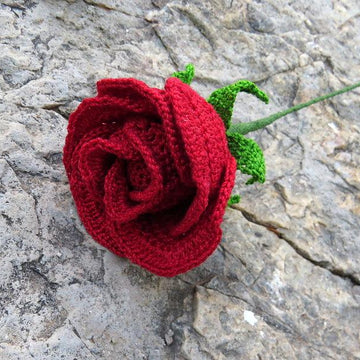 Rose half open bud