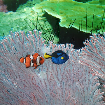 Nemo & Dory seascape