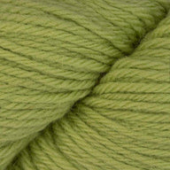 Lime (23)