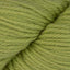 Lime (23)