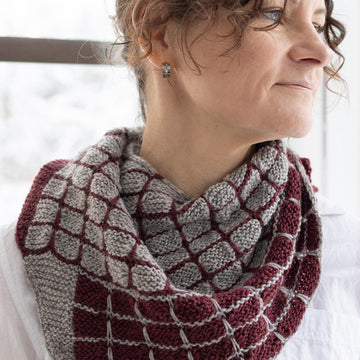 Growth Point Shawl