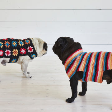 Crochet Dog Coat Set - Crochet Pattern For Pets in Debbie Bliss Rialto Aran by Debbie Bliss