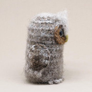 Bubu the owlet