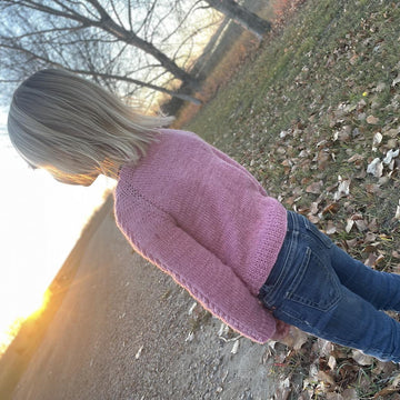 Simple Raglan Cable Sweater