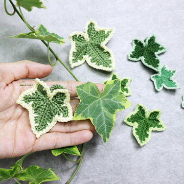 Variegated ivy leaves