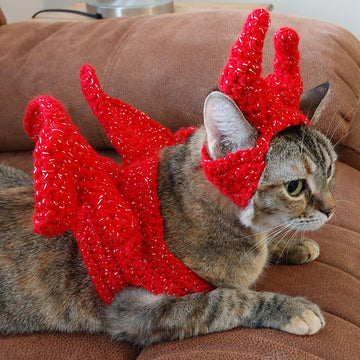 Wings for your Cat