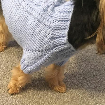 Sky Blue Dog Sweater