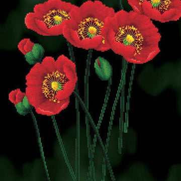 Needleart World Red Poppies on Black Aida No-Count Cross Stitch Kit - 41cm x 62cm