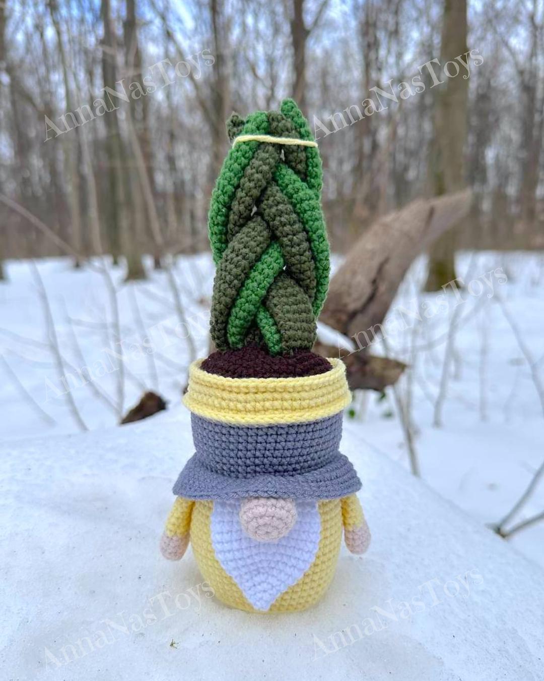 Gnome succulent-sansevieria 2