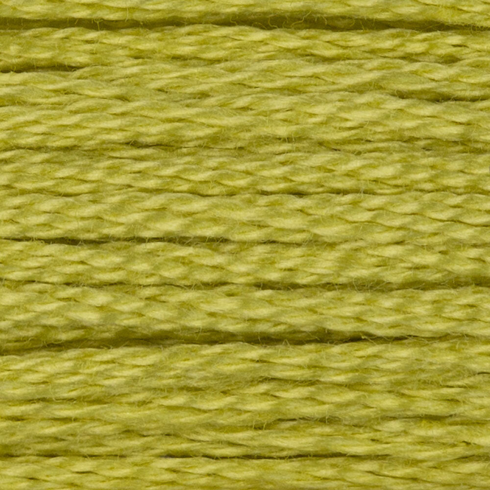 DMC Stranded Cotton - Warm Shades