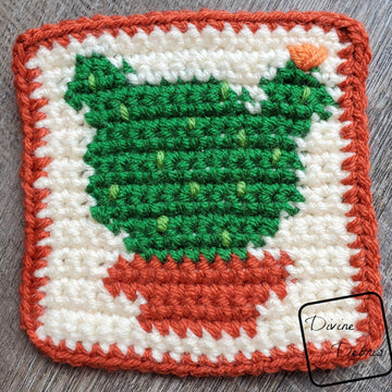 Cactus Coasters Quartet