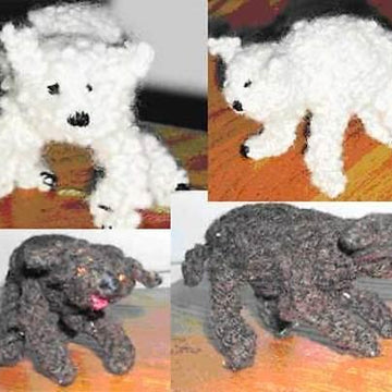 Lambie & Doggie