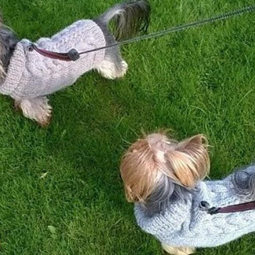 Fall Cabled Dog Sweater