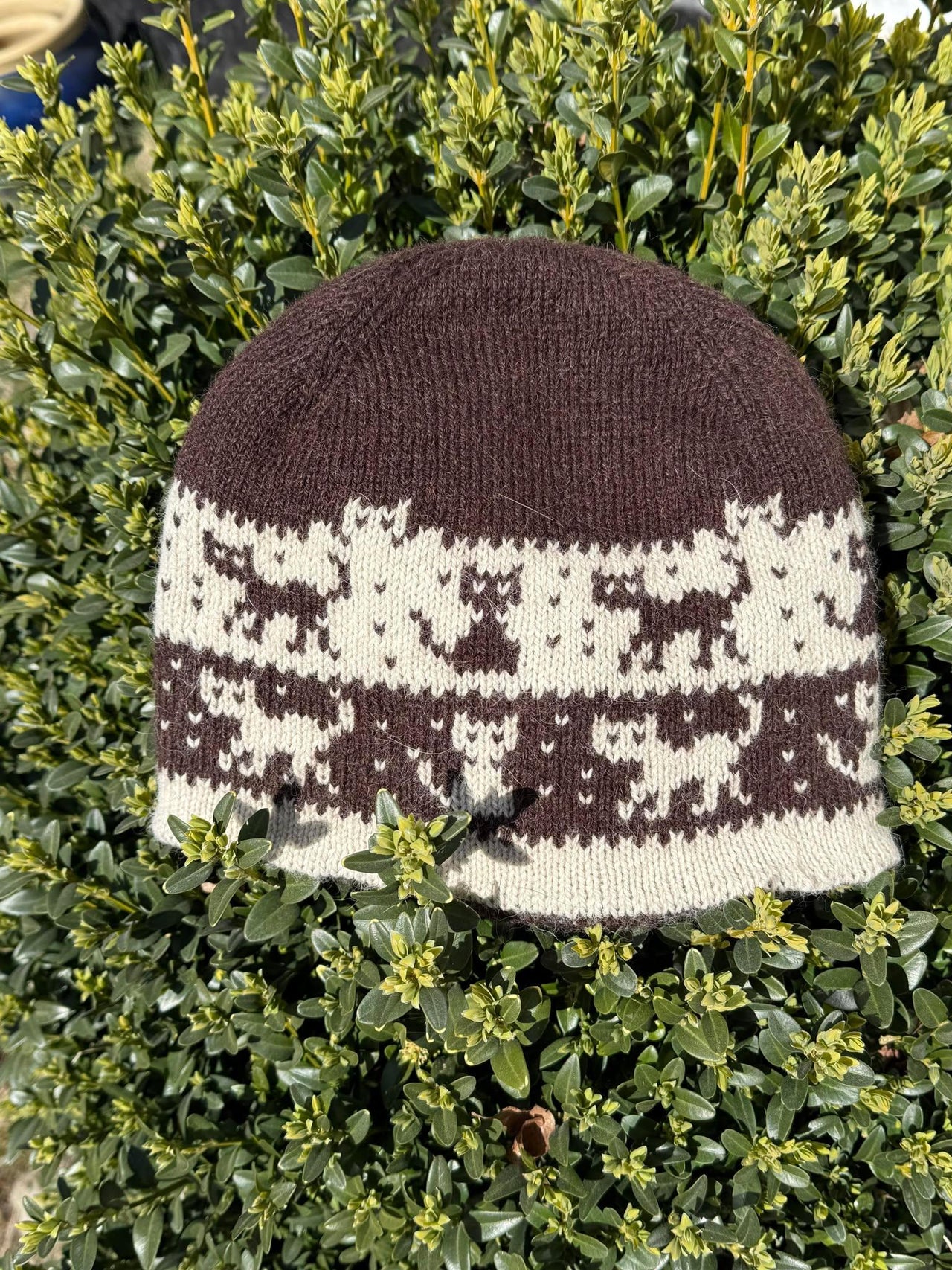 Katte og hjerter beanie
