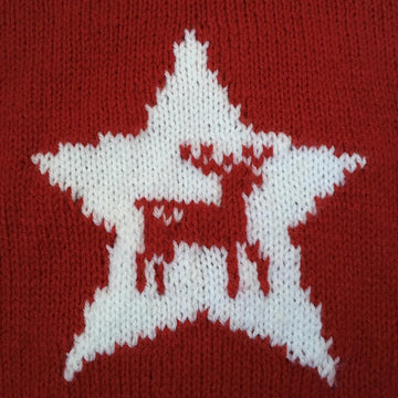Reindeer Star sweater