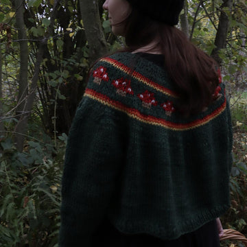 The Toadstool Sweater Adult