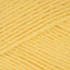 Daffodil Yellow (821)