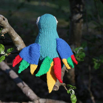 Toucan Tim