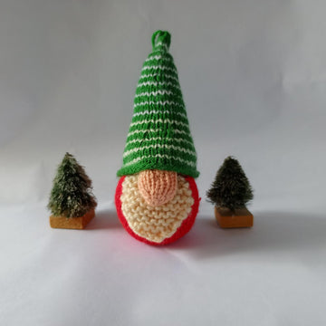 Enchanted Gnome