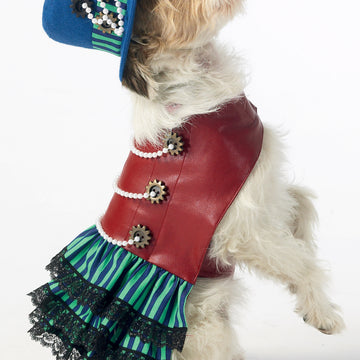 McCall's Pet Costumes M7004 - Paper Pattern Size All Sizes In One Envelope
