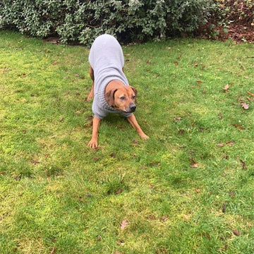 Big Comfy Dog Sweater