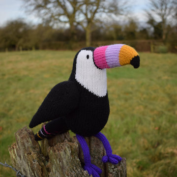 Graham the Toucan
