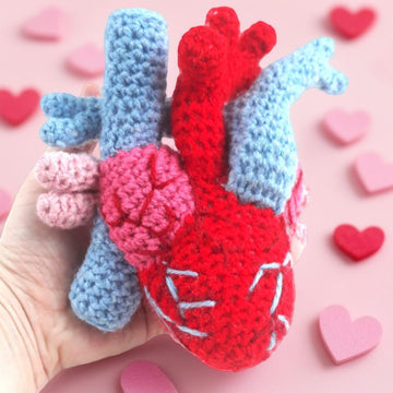Anatomical Heart