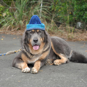 DK Gradient Hat 漸層配色帽 DK版