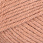 Bellini (102)