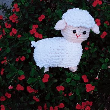 SHEEP -SENSO