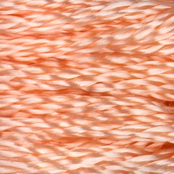 Apricot Cream (231)