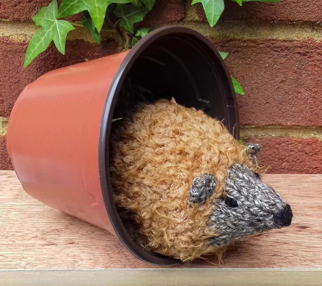 HedgeHUG - Chocolate Orange Cover