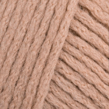 Biscuit (48)