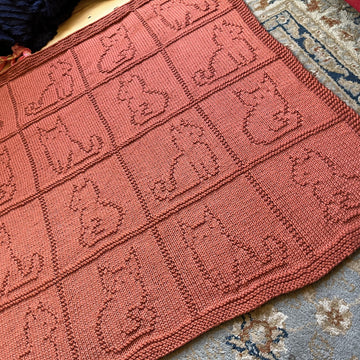 Cat Blanket