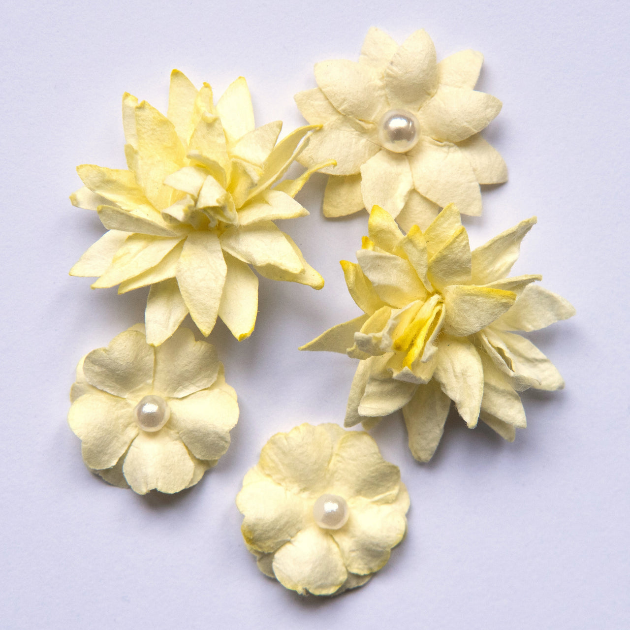 49 And Market Flower Mini Series 01 5/Pkg - Cream
