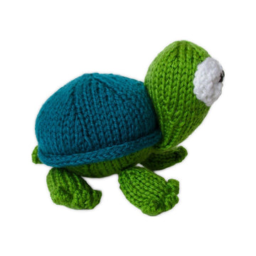Spencer the Tortoise