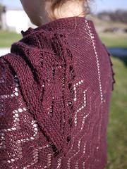 Crooked Walking Shawl