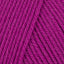 Raspberry (807)