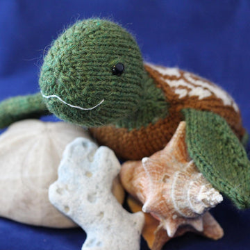 Sea Turtle