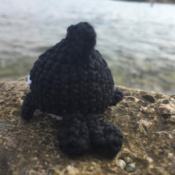 Orca Whale