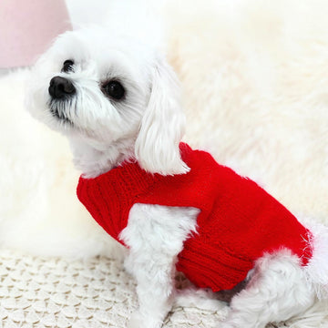 Santa dog coat