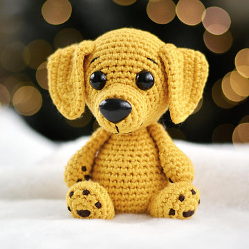 Dog Labrador or Golden Retriever