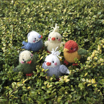 Mini Parakeets