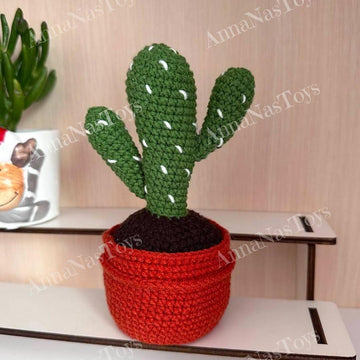 Cactus 2 in a pot