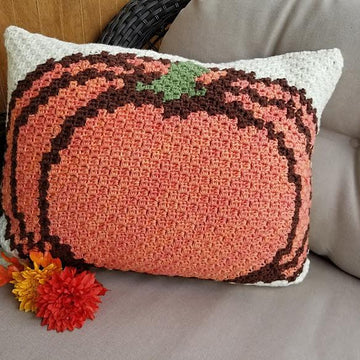 Pumpkin Pillow