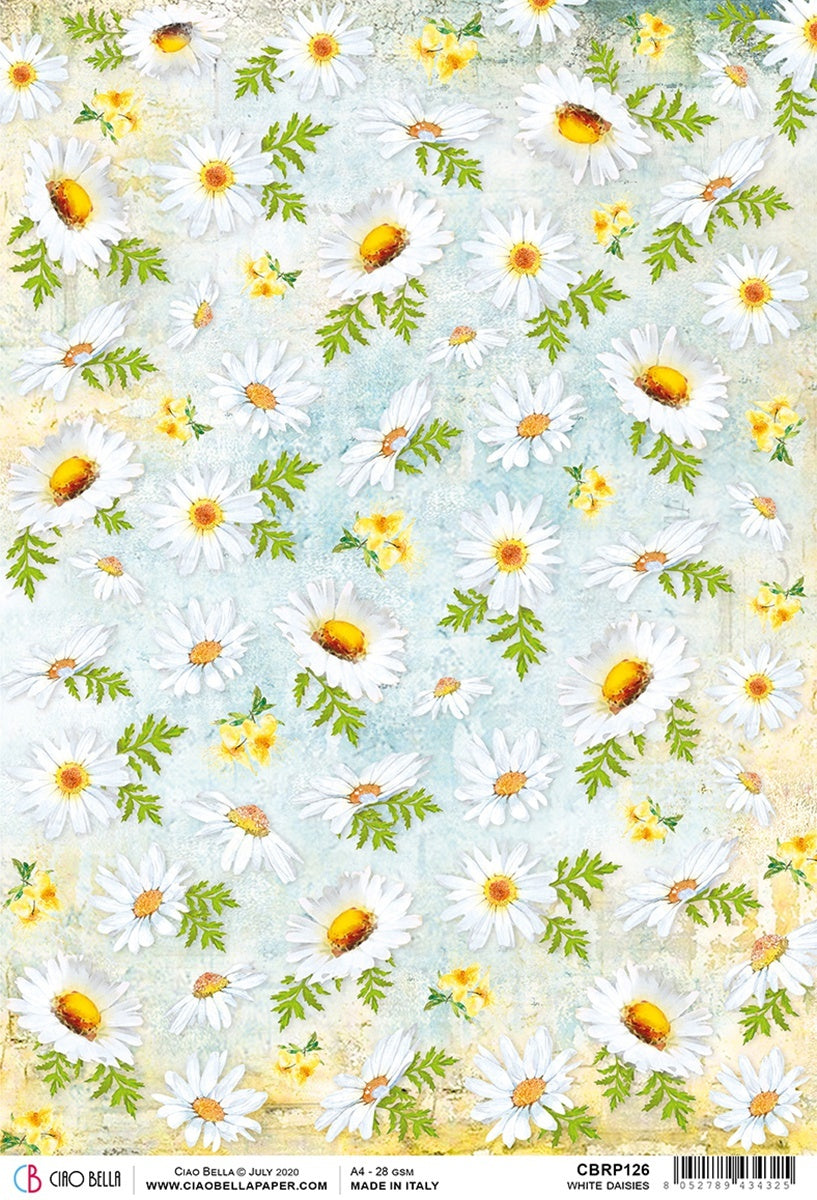 Ciao Bella Rice Paper Sheet A4 5/Pkg - White Daisies, Microcosmos