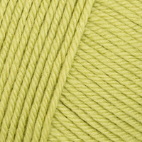Spring Leaf (11)