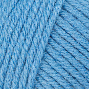 Cornflower Blue (12)