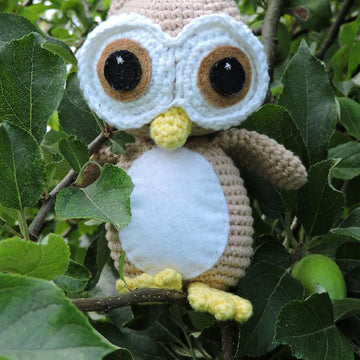 Oliver the Wide Eyed Owl