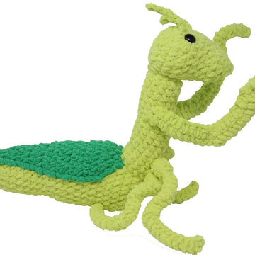 Praying Mantis